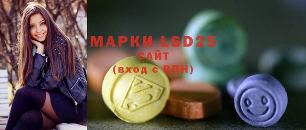 прущие грибы Гусиноозёрск