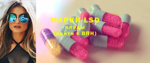 прущие грибы Гусиноозёрск