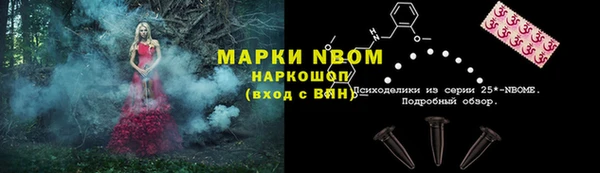 ешки Гусь-Хрустальный
