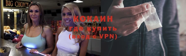 прущие грибы Гусиноозёрск