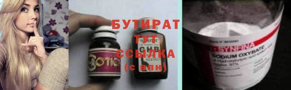 прущие грибы Гусиноозёрск