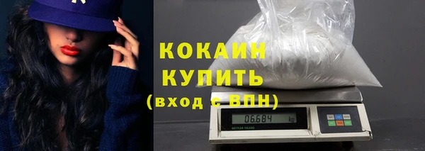 прущие грибы Гусиноозёрск