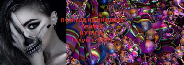 прущие грибы Гусиноозёрск