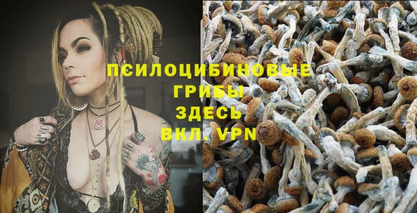 экстази Гусев