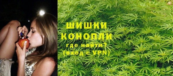 прущие грибы Гусиноозёрск