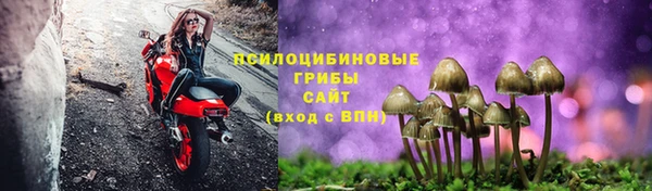 ешки Гусь-Хрустальный