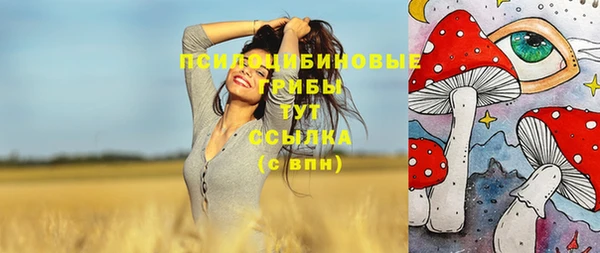 ешки Гусь-Хрустальный