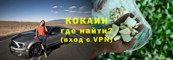 прущие грибы Гусиноозёрск